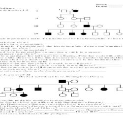 Pedigree worksheet a answer key