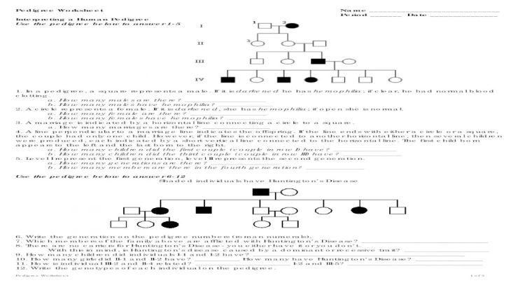 Pedigree worksheet a answer key