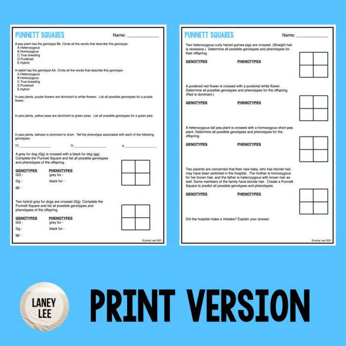 Activity punnett square generator answer key