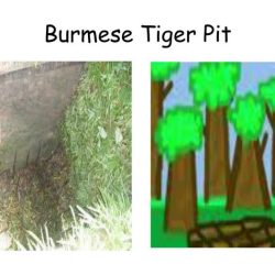 Burmese tiger pit the most dangerous game