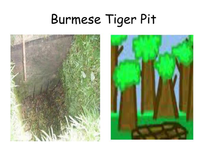 Burmese tiger pit the most dangerous game