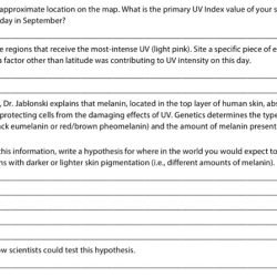 Human skin color: evidence for selection worksheet answer key