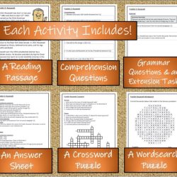 Guided reading activity 8-1 president and vice president