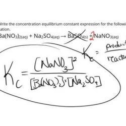 Computing equilibrium reactants concentrations