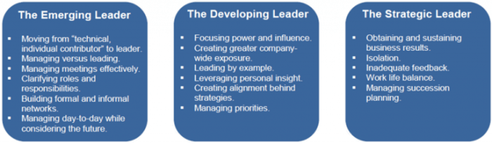 Which of the following illustrates leader development